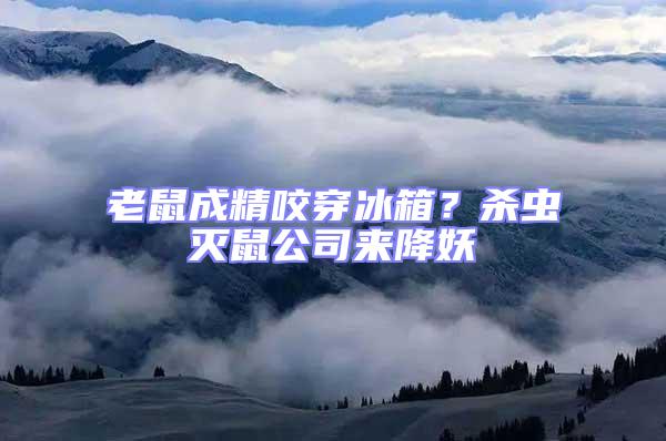 老鼠成精咬穿冰箱？殺蟲滅鼠公司來降妖