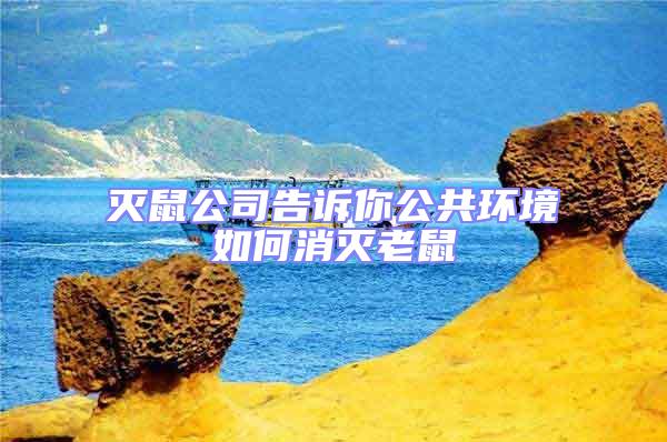 滅鼠公司告訴你公共環(huán)境如何消滅老鼠