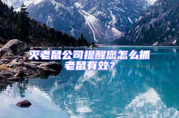 滅老鼠公司提醒您怎么抓老鼠有效？