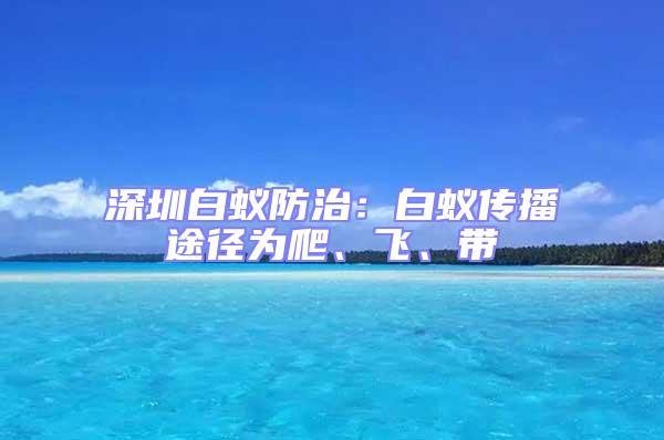 深圳白蟻防治：白蟻傳播途徑為爬、飛、帶