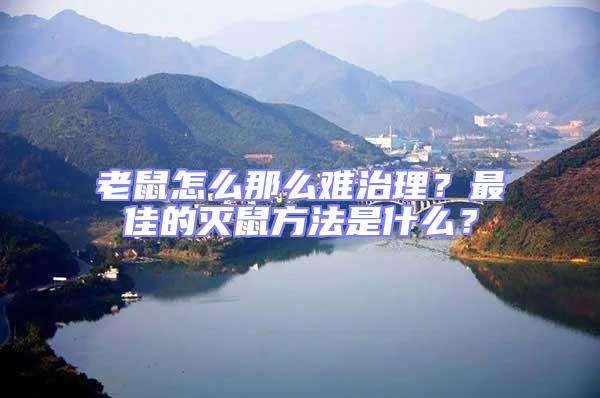 老鼠怎么那么難治理？最佳的滅鼠方法是什么？