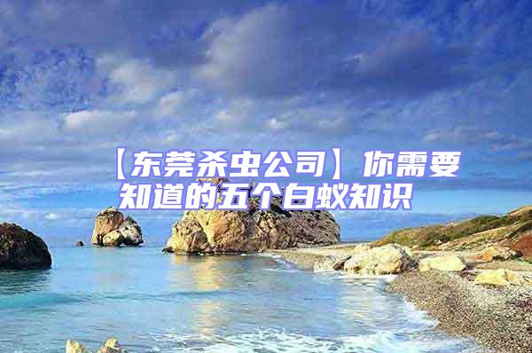 【東莞殺蟲公司】你需要知道的五個(gè)白蟻知識(shí)