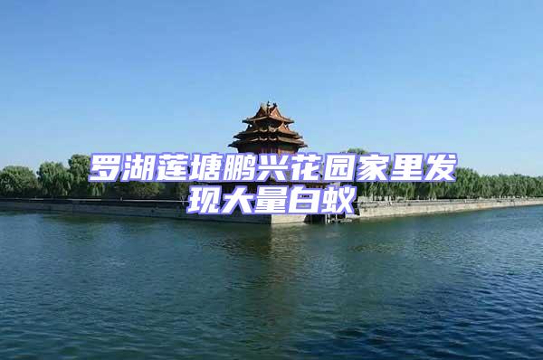 羅湖蓮塘鵬興花園家里發(fā)現(xiàn)大量白蟻
