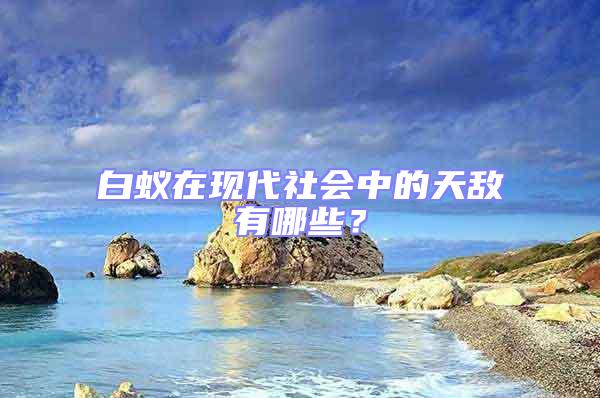 白蟻在現代社會中的天敵有哪些？