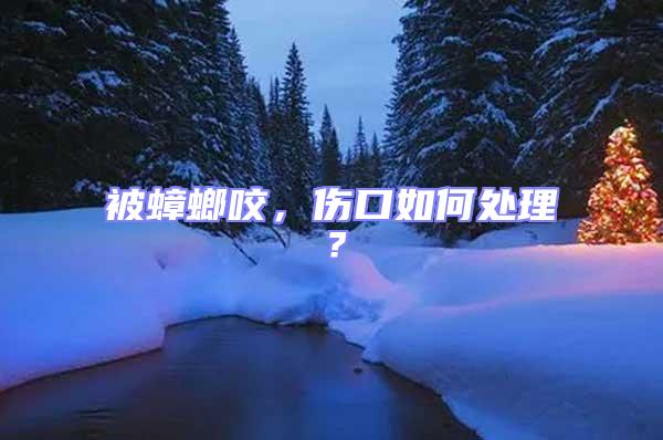 被蟑螂咬，傷口如何處理？