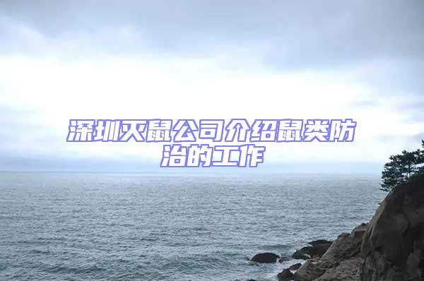 深圳滅鼠公司介紹鼠類防治的工作