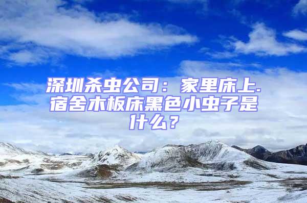 深圳殺蟲公司：家里床上.宿舍木板床黑色小蟲子是什么？