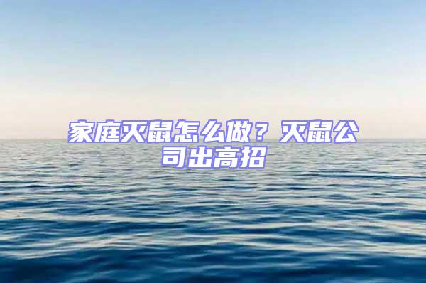 家庭滅鼠怎么做？滅鼠公司出高招