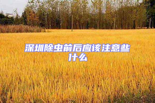 深圳除蟲前后應(yīng)該注意些什么