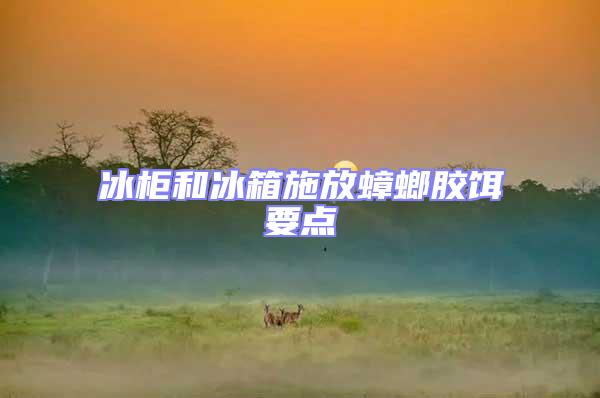 冰柜和冰箱施放蟑螂膠餌要點