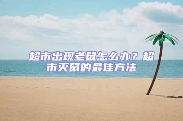 超市出現(xiàn)老鼠怎么辦？超市滅鼠的最佳方法