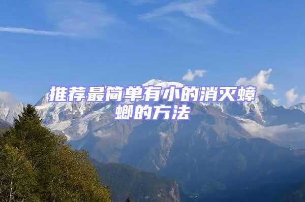 推薦最簡單有小的消滅蟑螂的方法