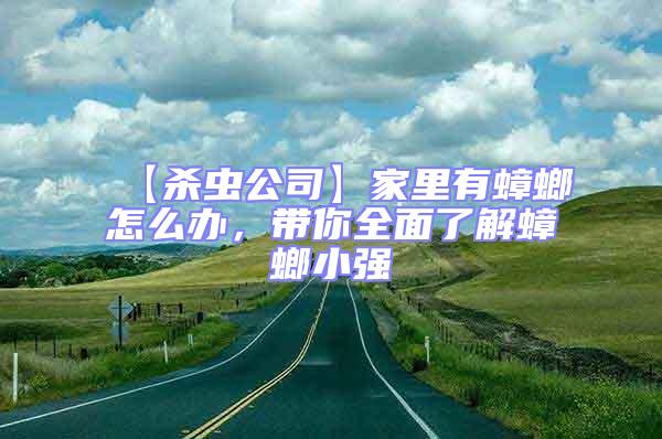 【殺蟲(chóng)公司】家里有蟑螂怎么辦，帶你全面了解蟑螂小強(qiáng)