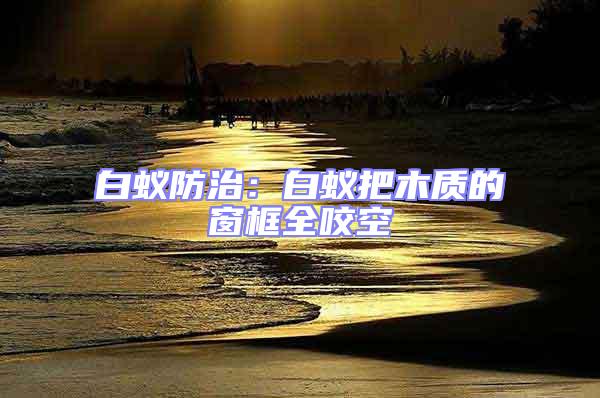 白蟻防治：白蟻把木質的窗框全咬空