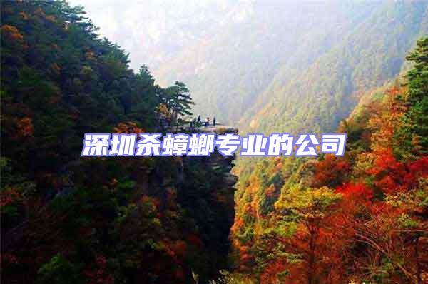 深圳殺蟑螂專業的公司