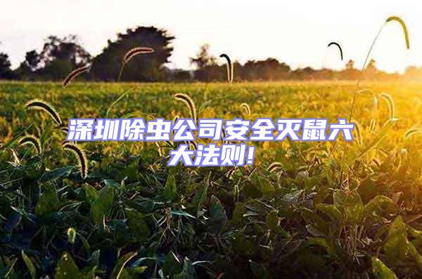 深圳除蟲公司安全滅鼠六大法則!