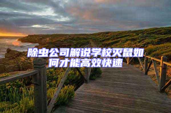 除蟲公司解說學校滅鼠如何才能高效快速