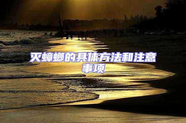 滅蟑螂的具體方法和注意事項