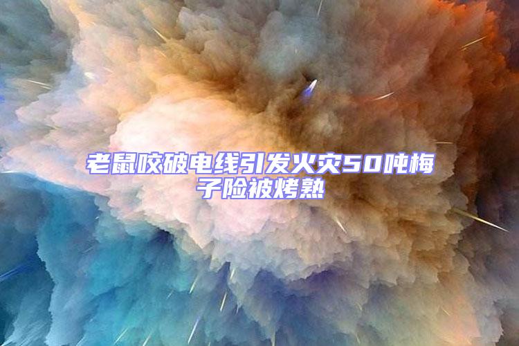 老鼠咬破電線引發(fā)火災50噸梅子險被烤熟