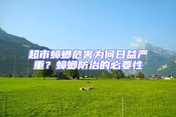 超市蟑螂危害為何日益嚴(yán)重？蟑螂防治的必要性