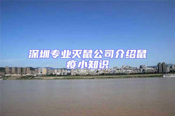 深圳專業滅鼠公司介紹鼠疫小知識