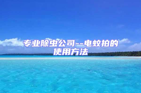 專業除蟲公司--電蚊拍的使用方法