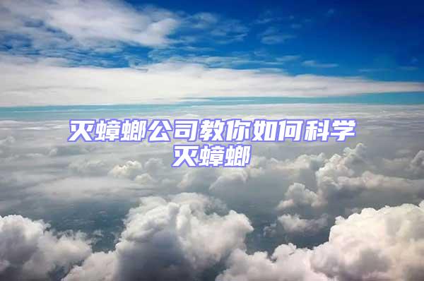 滅蟑螂公司教你如何科學(xué)滅蟑螂