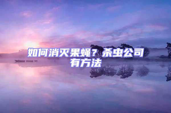 如何消滅果蠅？殺蟲公司有方法