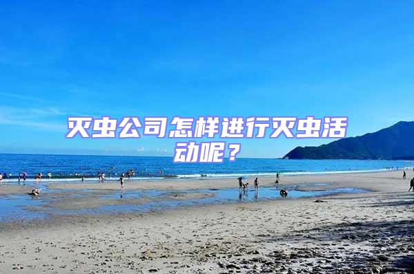 滅蟲公司怎樣進行滅蟲活動呢？