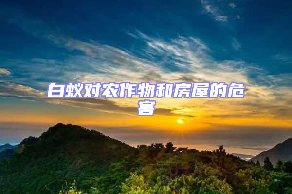 白蟻對農作物和房屋的危害