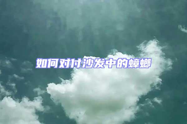 如何對付沙發中的蟑螂