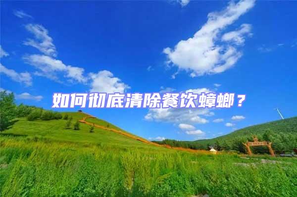 如何徹底清除餐飲蟑螂？