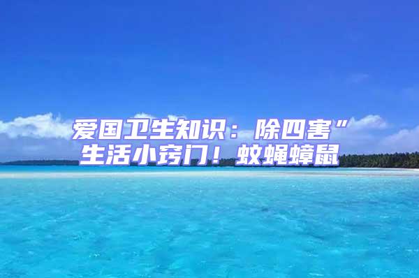 愛國衛生知識：除四害”生活小竅門！蚊蠅蟑鼠