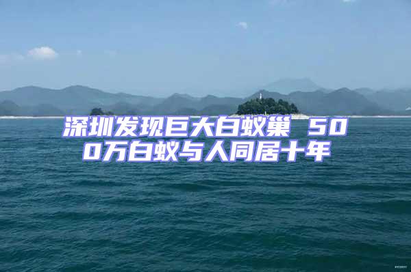 深圳發現巨大白蟻巢 500萬白蟻與人同居十年
