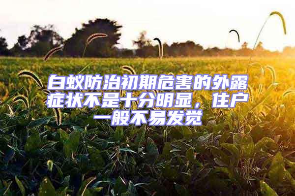白蟻防治初期危害的外露癥狀不是十分明顯，住戶一般不易發覺