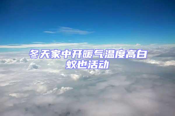 冬天家中開(kāi)暖氣溫度高白蟻也活動(dòng)