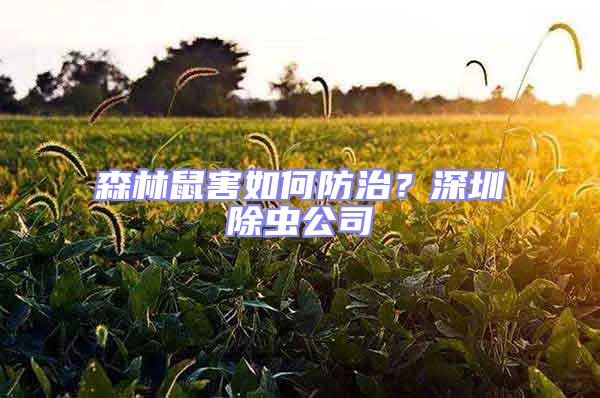 森林鼠害如何防治？深圳除蟲公司
