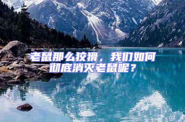 老鼠那么狡猾，我們如何徹底消滅老鼠呢？