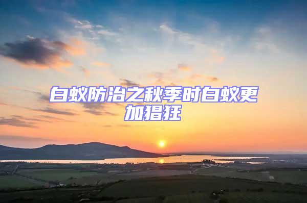 白蟻防治之秋季時白蟻更加猖狂