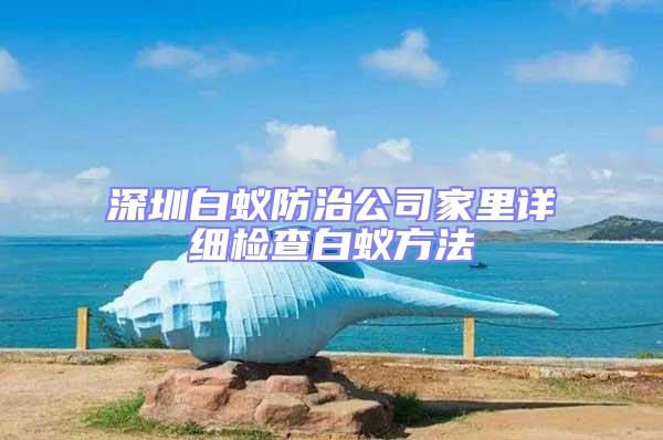 深圳白蟻防治公司家里詳細檢查白蟻方法