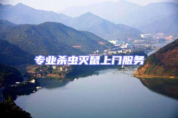 專業(yè)殺蟲滅鼠上門服務