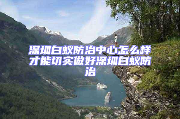 深圳白蟻防治中心怎么樣才能切實做好深圳白蟻防治