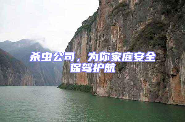 殺蟲(chóng)公司，為你家庭安全保駕護(hù)航