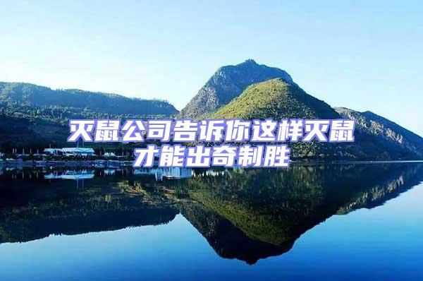 滅鼠公司告訴你這樣滅鼠才能出奇制勝