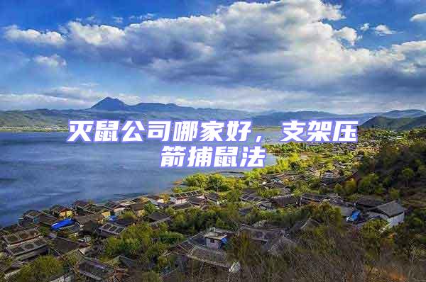 滅鼠公司哪家好，支架壓箭捕鼠法