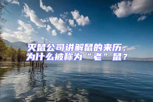 滅鼠公司講解鼠的來歷，為什么被稱為“老”鼠？