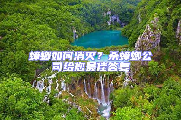 蟑螂如何消滅？殺蟑螂公司給您最佳答復(fù)