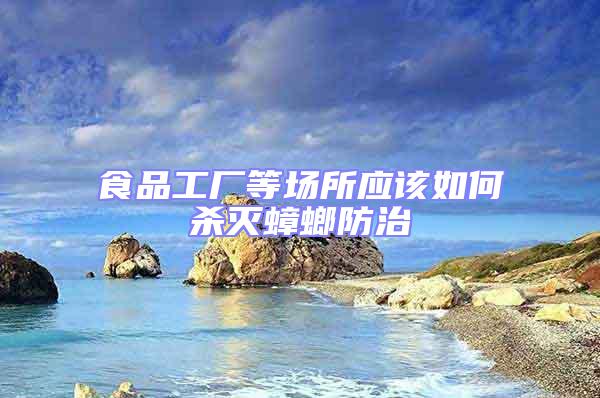 食品工廠等場所應該如何殺滅蟑螂防治