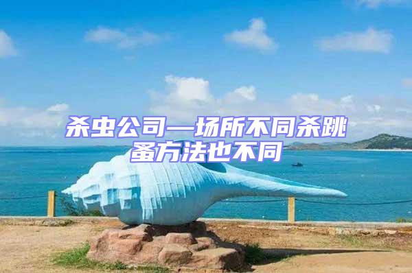 殺蟲公司—場所不同殺跳蚤方法也不同