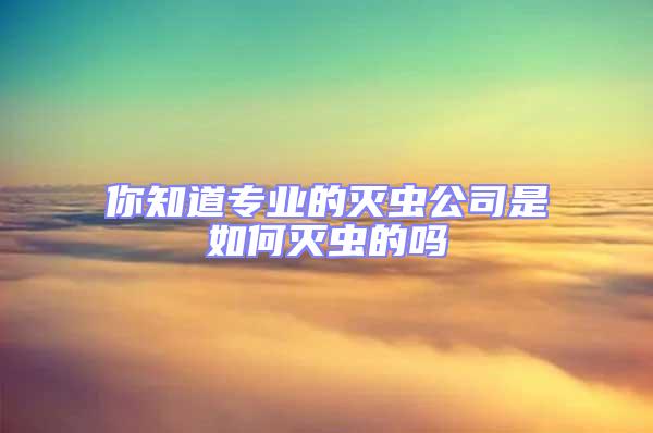 你知道專業的滅蟲公司是如何滅蟲的嗎
